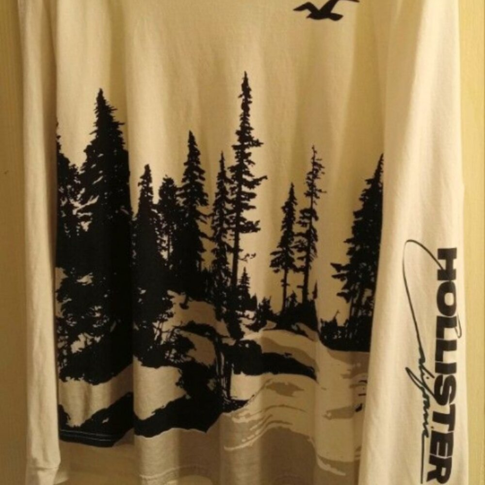 Hollister Long Sleeve Top